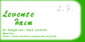 levente haim business card